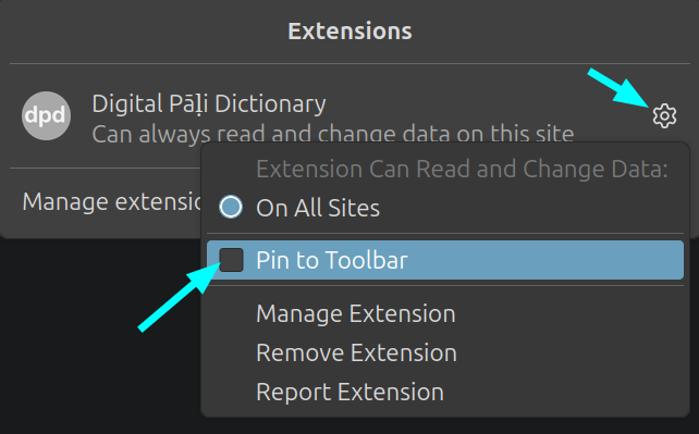 pin in firefox